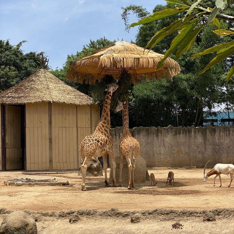 Zoo La Aurora