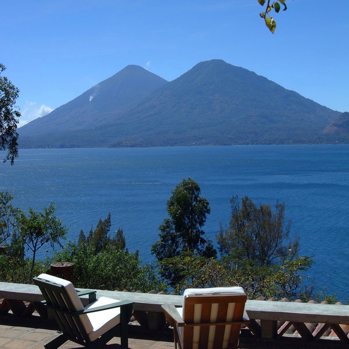 Bosque en Guatemala